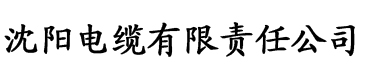 91抖音成长人版破解安装苹果版电缆厂logo